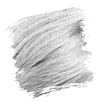 Crazy Color Silver 27 100ml